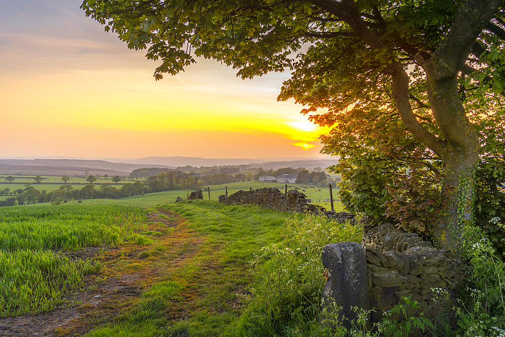 View of sunset from Wadshelf in the Peak District National Park, Derbyshire, England, United Kingdom, Europe