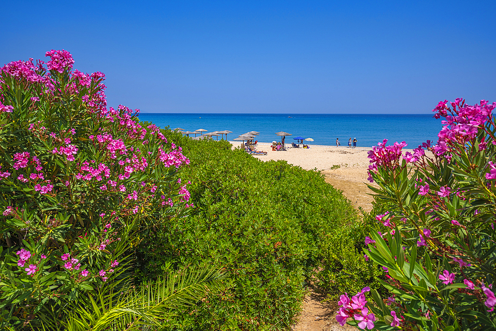 View of Paralia Skalas, Skala, Kefalonia, Ionian Islands, Greek Islands, Greece, Europe