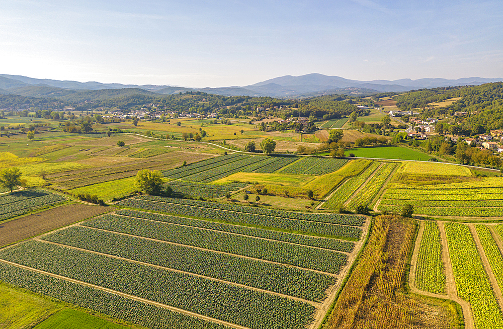 Elevated view of farmland and landscape at Monterchi, Province of Arezzo, Italy, Europe