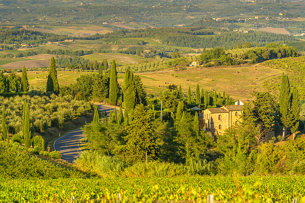 View of chaleau and vineyards near San Gimignano, San Gimignano, Province of Siena, Tuscany, Italy, Europe