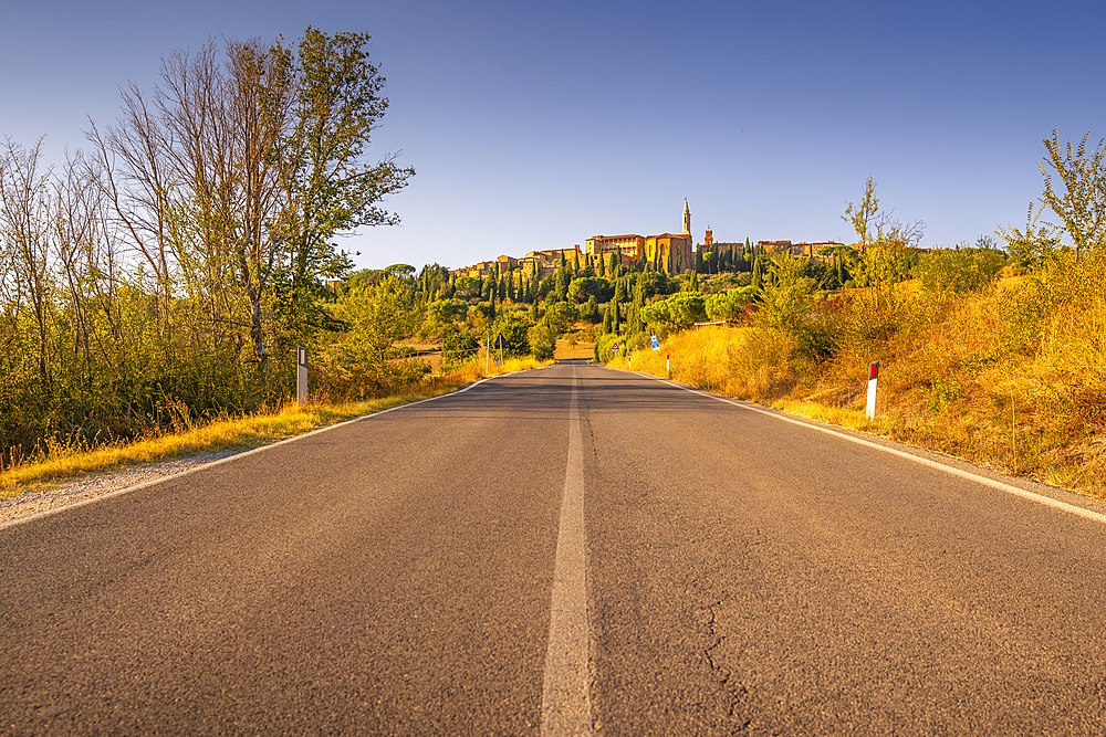 View of road leading to Pienza, Pienza, Province of Siena, Tuscany, Italy, Europe