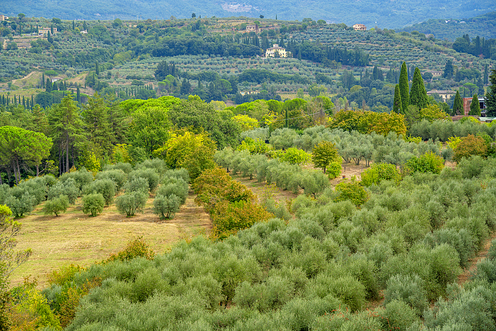 View of Tuscan landscape from Passeggio del Prato, Arezzo, Province of Arezzo, Tuscany, Italy, Europe