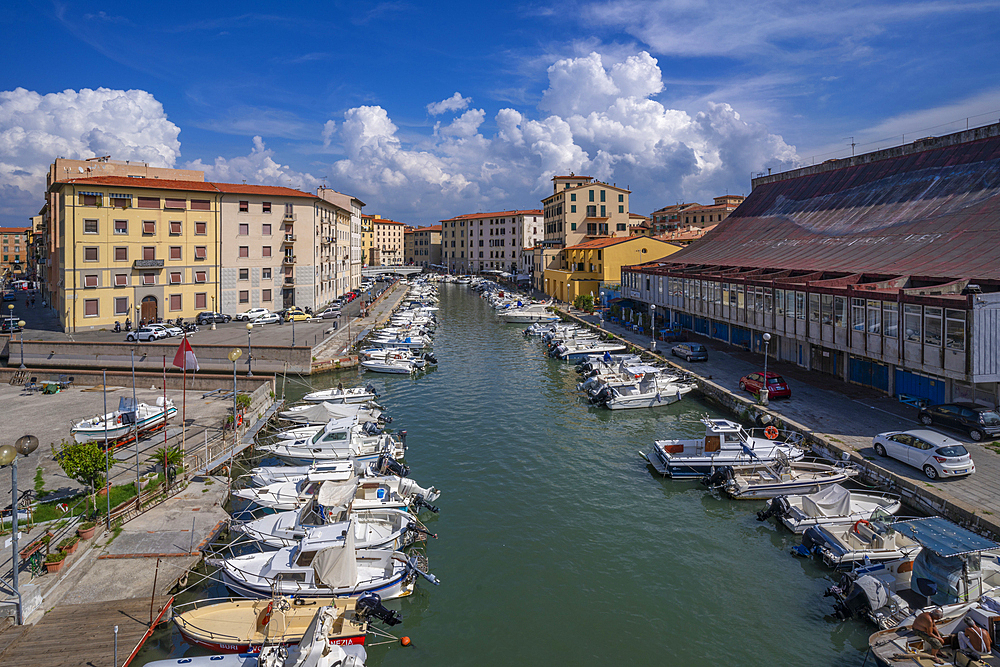 View from Punto Panoramico Ponte Santa Trinita, Livorno, Province of Livorno, Tuscany, Italy, Europe