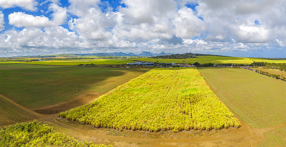 Aerial view of patchwork fields and mountains visible on horizon near Mapou, Rempart District, Mauritius, Indian Ocean, Africa