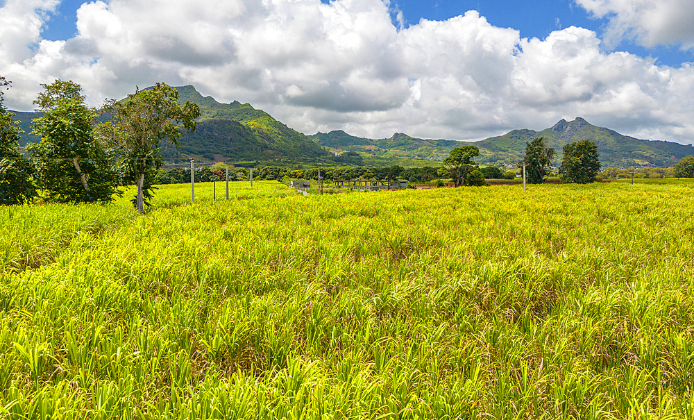 Aerial view of Long Mountain and fields at Long Mountain, Mauritius, Indian Ocean, Africa