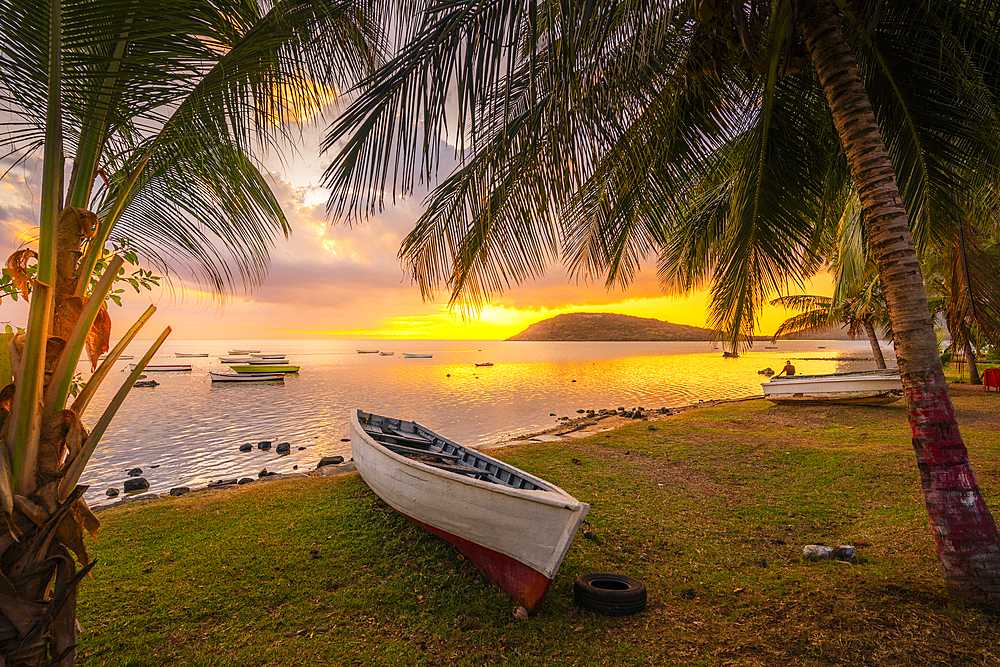 View of Le Morne through palm trees at Le Morne Brabant at sunset, Savanne District, Mauritius, Indian Ocean, Africa