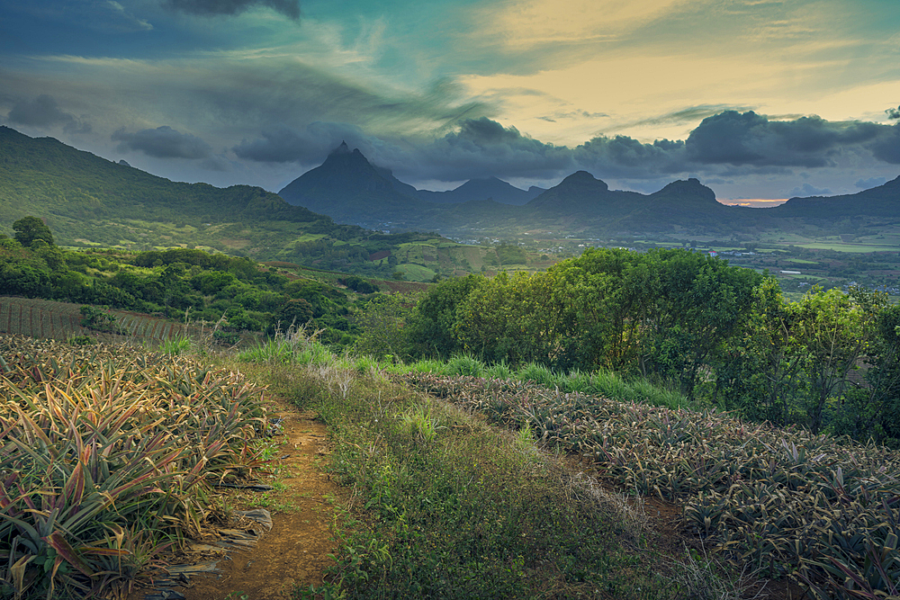 View of Pieter Both and Long Mountain, Nouvelle Decouverte, Mauritius, Indian Ocean, Africa