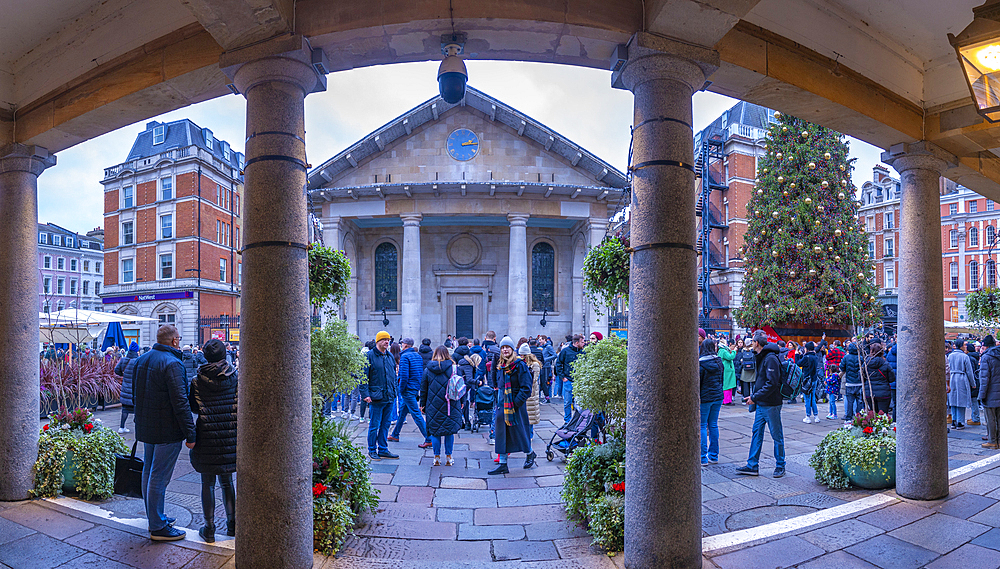 View of St. Paul's Church from the Apple Market at Christmas, Covent Garden, London, England, United Kingdom, Europe