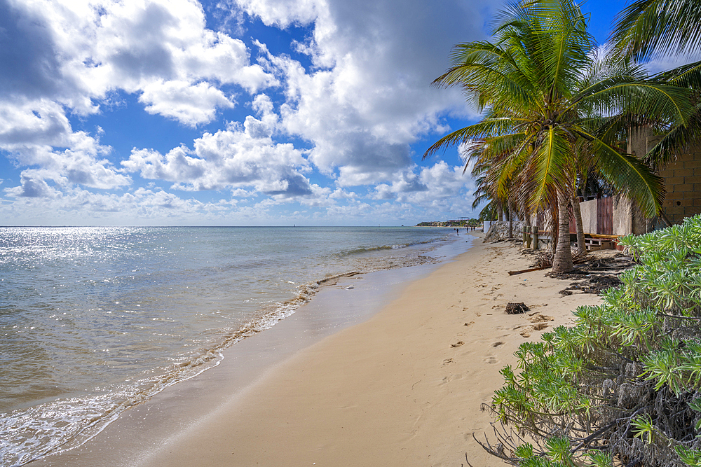 View of beach near Puerto Morelos, Caribbean Coast, Yucatan Peninsula, Mexico, North America