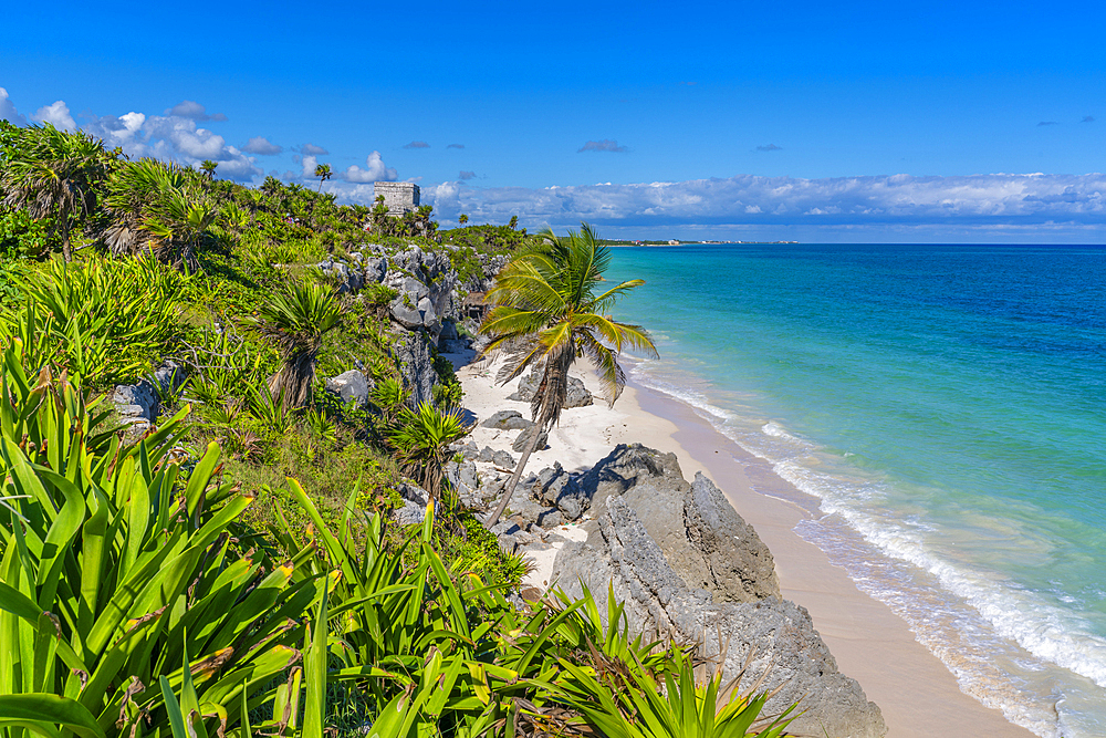 View of Mayan Temple ruins overlooking the sea, Tulum, Quintana Roo, Caribbean Coast, Yucatan Peninsula, Riviera Maya, Mexico, North America