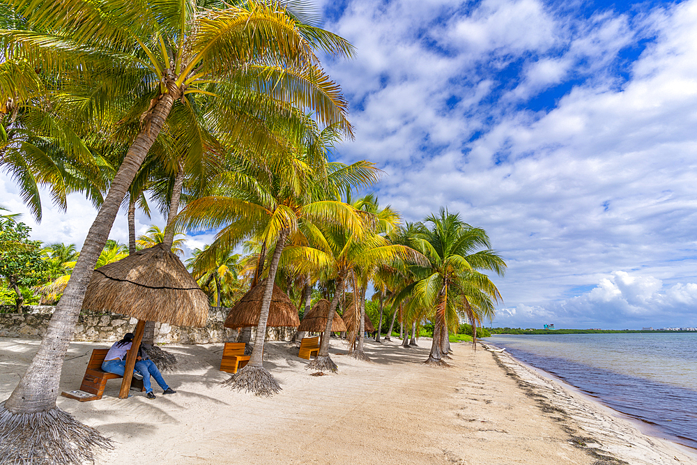 View of palm trees and Playa Delfines, Cancun, Caribbean Coast, Yucatan Peninsula, Riviera Maya, Mexico, North America