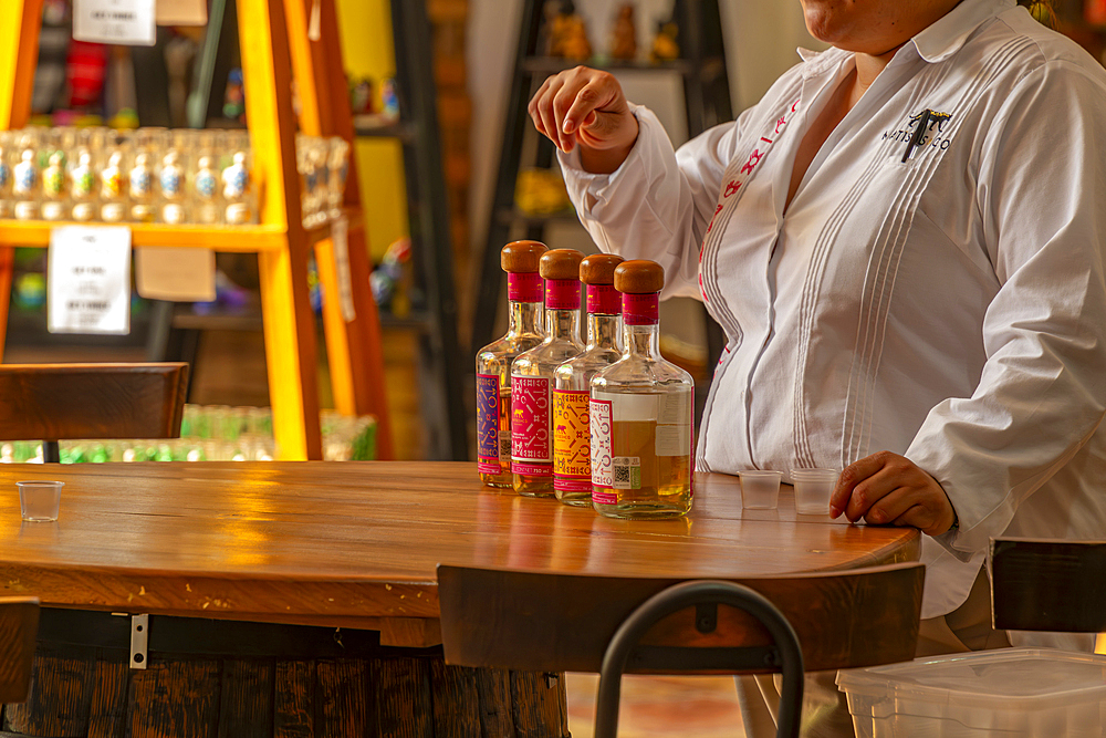 View of tequila tasting near Puerto Morelos, Caribbean Coast, Yucatan Peninsula, Riviera Maya, Mexico, North America