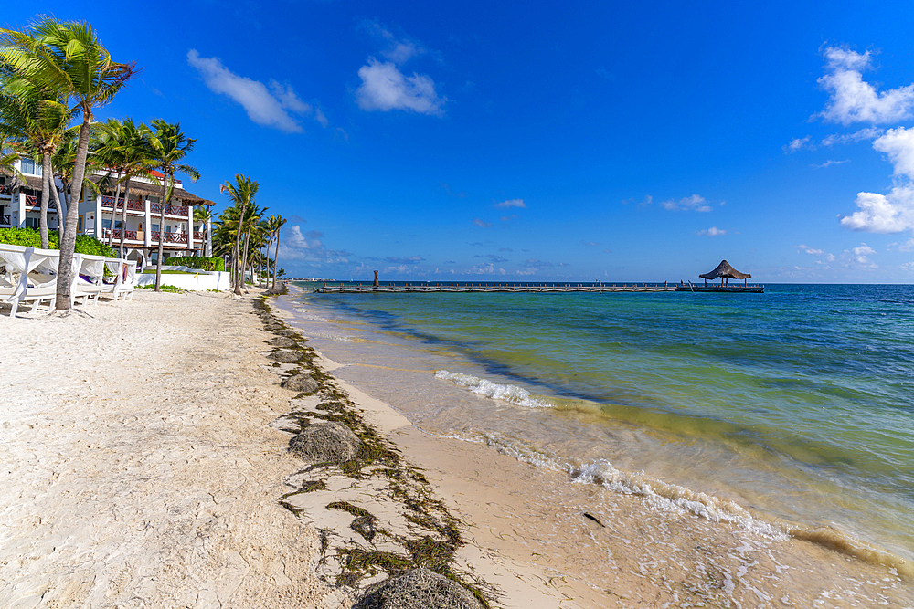 View of palm trees and hotel on beach at Puerto Morelos, Caribbean Coast, Yucatan Peninsula, Riviera Maya, Mexico, North America