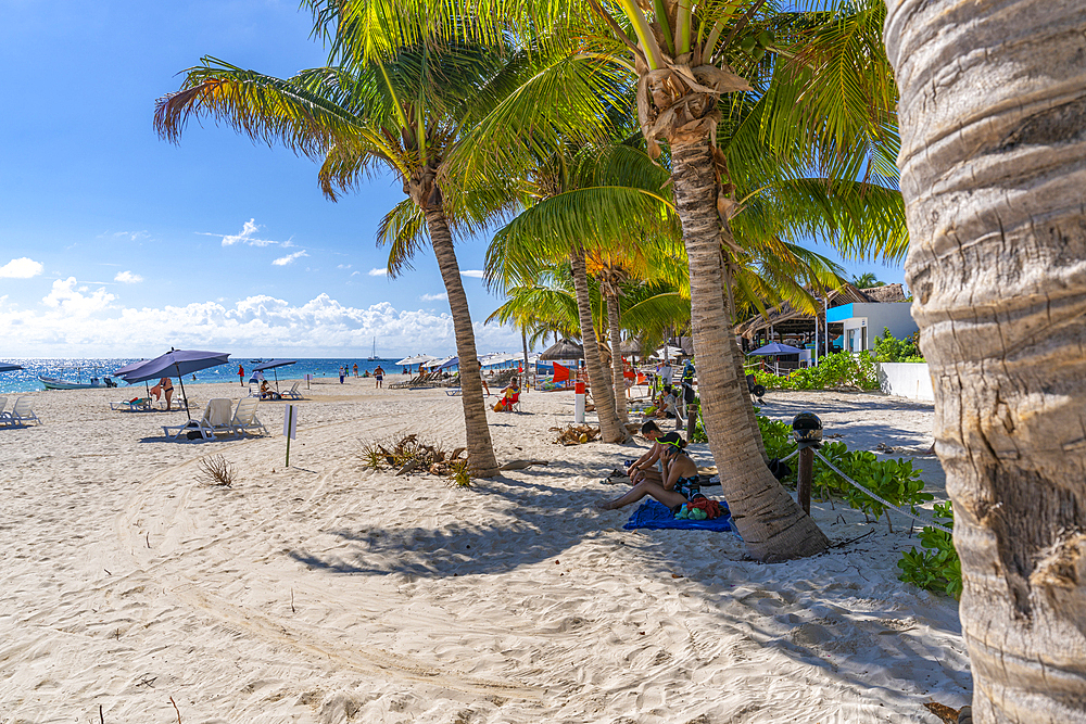 View of beach and palm trees at Puerto Morelos, Caribbean Coast, Yucatan Peninsula, Riviera Maya, Mexico, North America