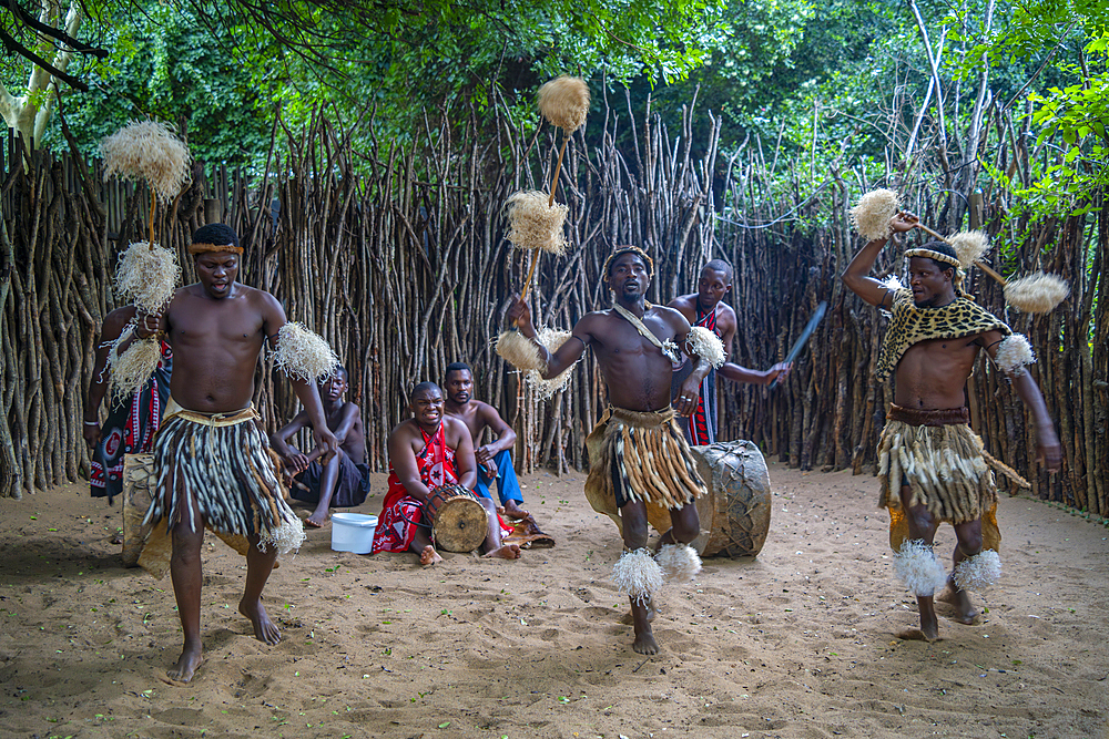 View of traditional Zulu dance and music at Ghost Mountain Inn, Mkuze, KwaZulu-Natal Province, South Africa, Africa