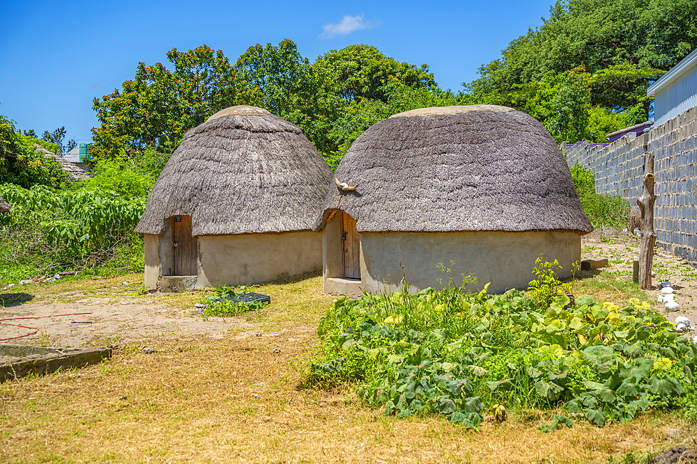 View of thatched roof houses in traditional Zulu village, Veyane Cultural Village, Khula, Khula Village, KwaZulu-Natal Province, South Africa, Africa