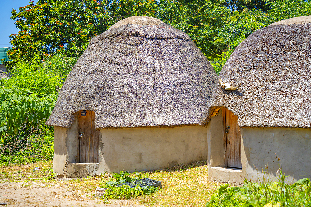 View of thatched roof houses in traditional Zulu village, Veyane Cultural Village, Khula, Khula Village, KwaZulu-Natal Province, South Africa, Africa