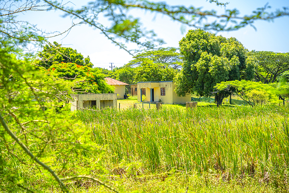 View of colourful houses in traditional Zulu village, Veyane Cultural Village, Khula, Khula Village, KwaZulu-Natal Province, South Africa, Africa