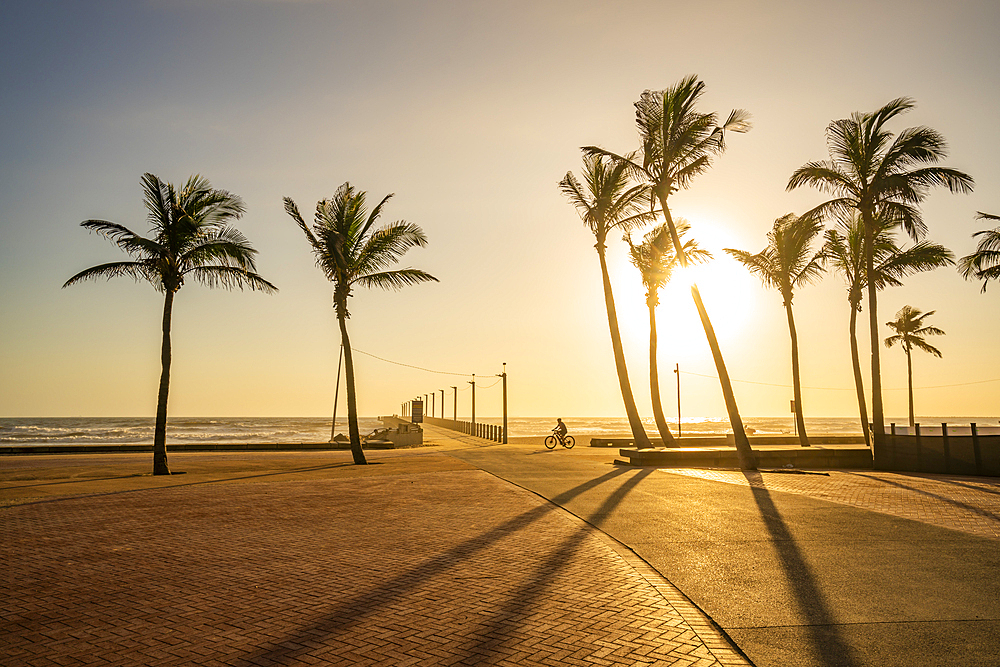 View of palm trees, promenade and Indian Ocean in background at sunrise, Durban, KwaZulu-Natal Province, South Africa, Africa