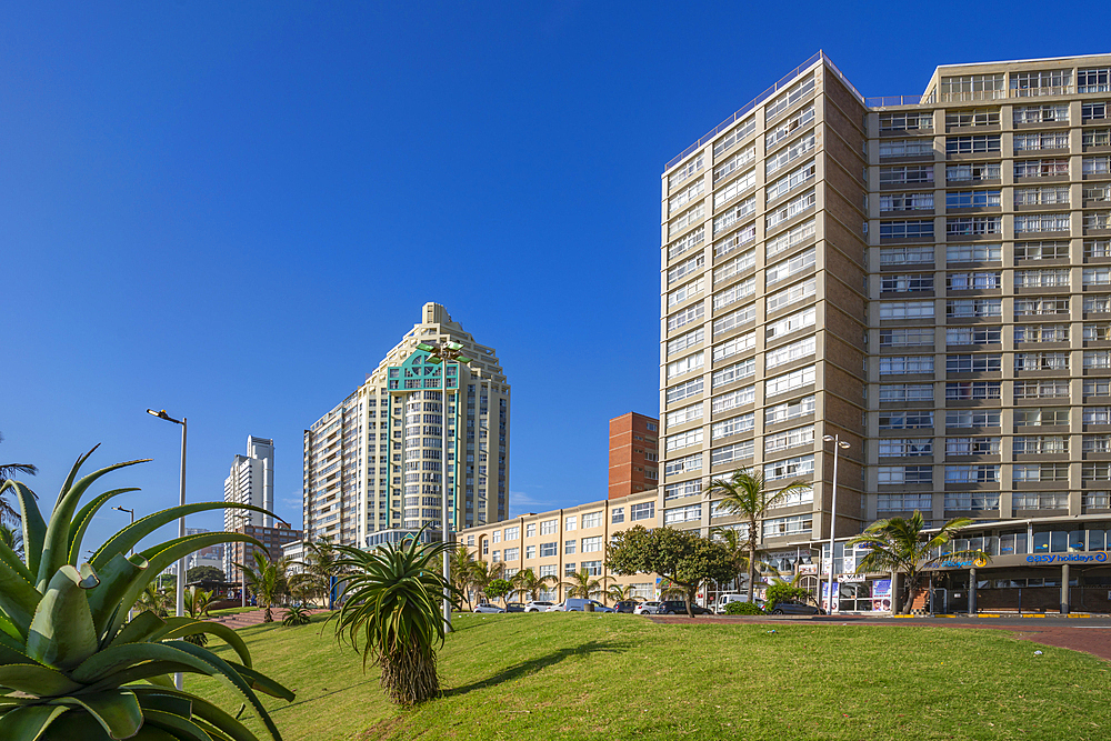 View of hotels and apartments overlooking promenade, Durban, KwaZulu-Natal Province, South Africa, Africa