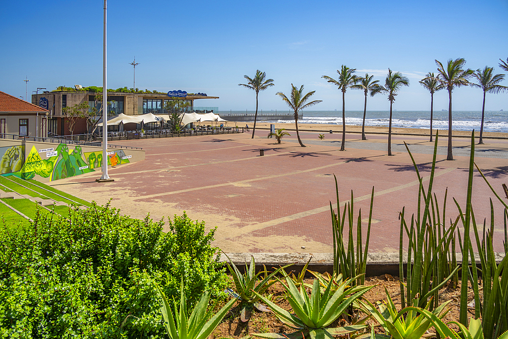 View of palm trees, promenade and Indian Ocean in background, Durban, KwaZulu-Natal Province, South Africa, Africa