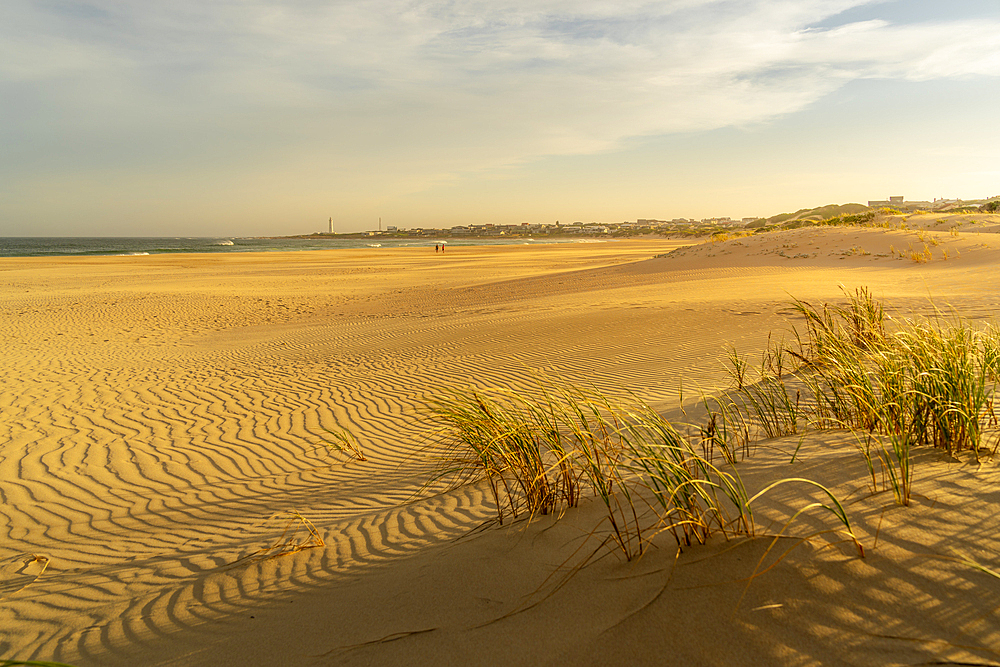 View of sand dunes and beach with Seal Point Lighthouse in background, Cape St. Francis, Eastern Cape Province, South Africa, Africa