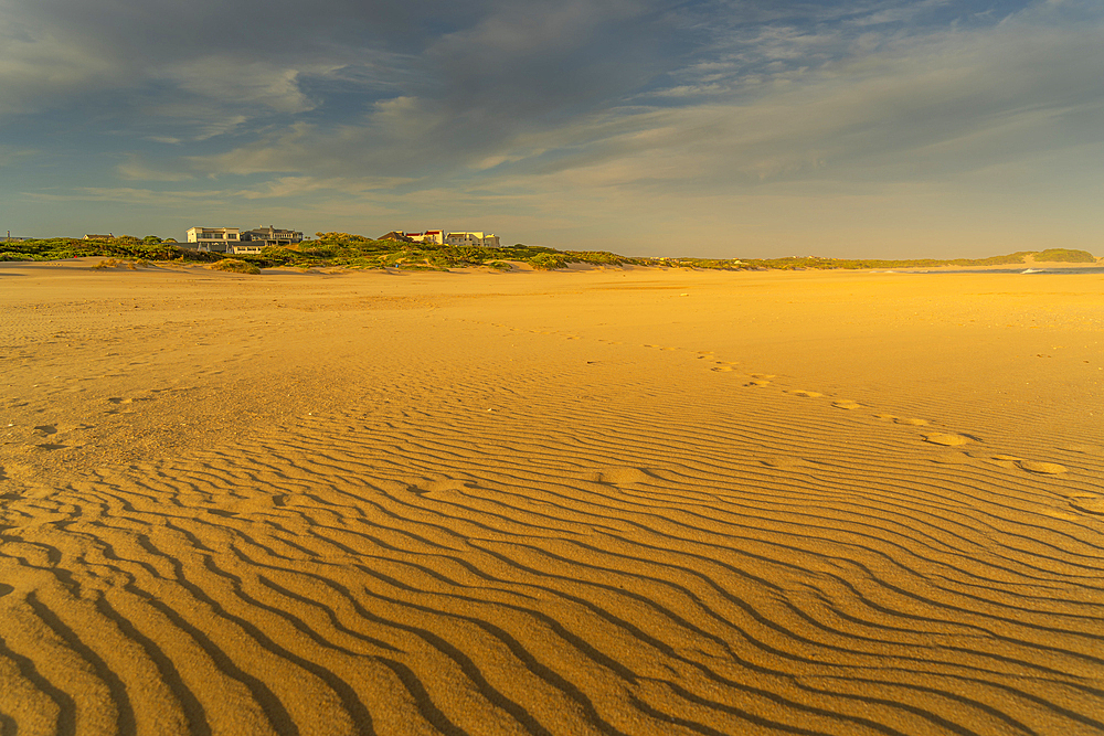 View of sand dunes and beach, Cape St. Francis, Eastern Cape Province, South Africa, Africa