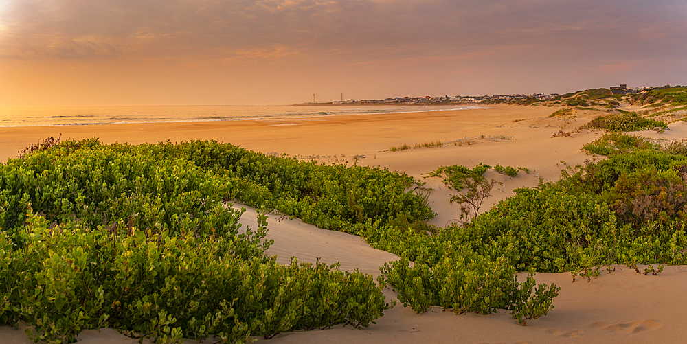 View of sand dunes and beach with Seal Point Lighthouse in background at sunrise, Cape St. Francis, Eastern Cape Province, South Africa, Africa