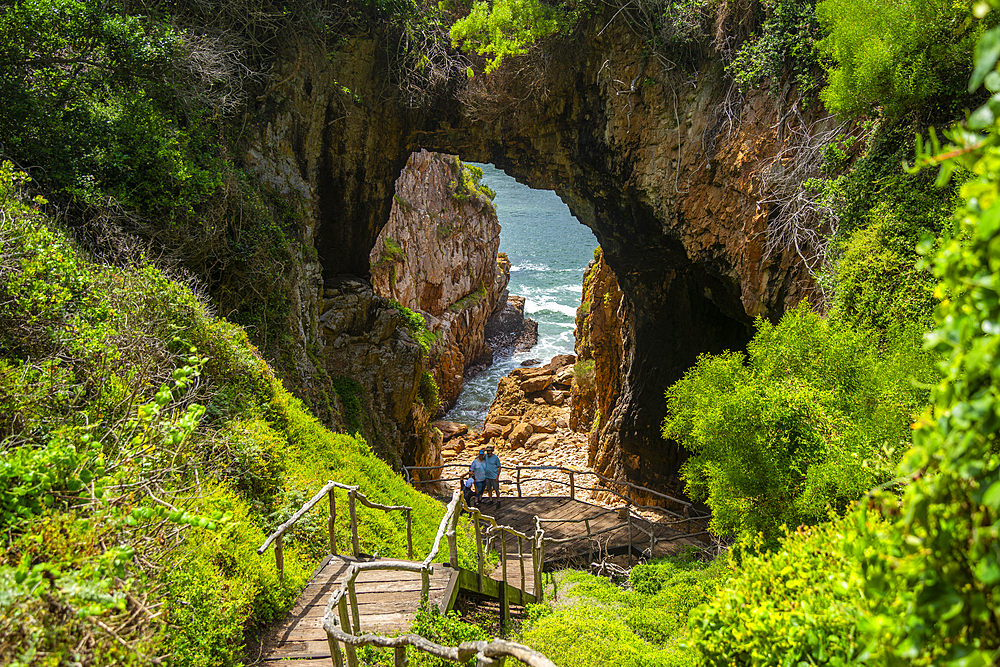 View of the Featherbed sea caves and coastline in Featherbed Nature Reserve, Knysna, Garden Route, Western Cape, South Africa, Africa