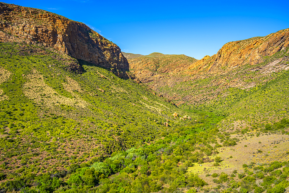 View of green mountainous landscape between Zoar and Calitzdorp, South Africa, Africa