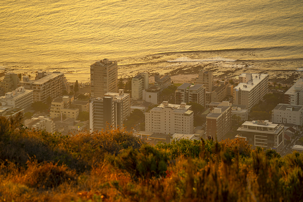 View of Sea Point from Signal Hill at sunset, Cape Town, Western Cape, South Africa, Africa