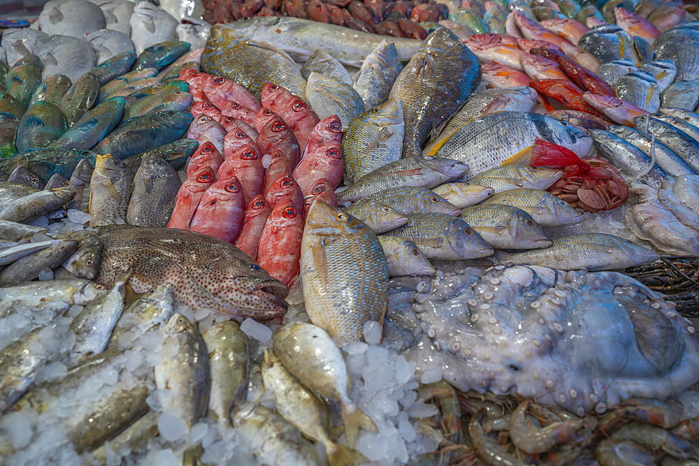 View of fish stall in Hurghada Fish Market, Hurghada, Red Sea Governorate, Egypt, North Africa, Africa