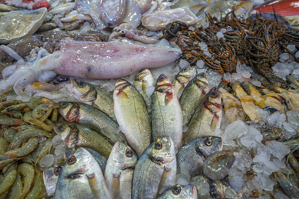 View of fish stall in Hurghada Fish Market, Hurghada, Red Sea Governorate, Egypt, North Africa, Africa