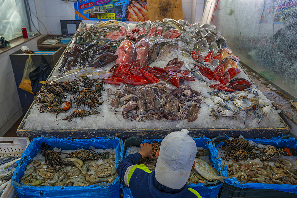 View of fish stall in Hurghada Fish Market, Hurghada, Red Sea Governorate, Egypt, North Africa, Africa