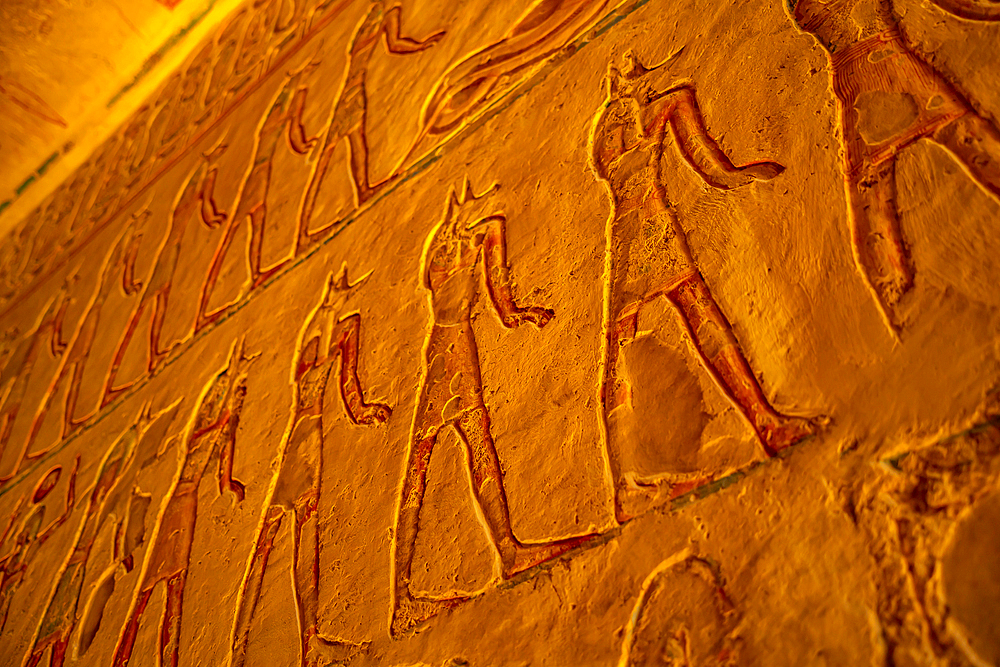 View of bas reliefs in KV8, the Tomb of Merenptah, Valley of the Kings, UNESCO World Heritage Site, Thebes, Egypt, North Africa, Africa