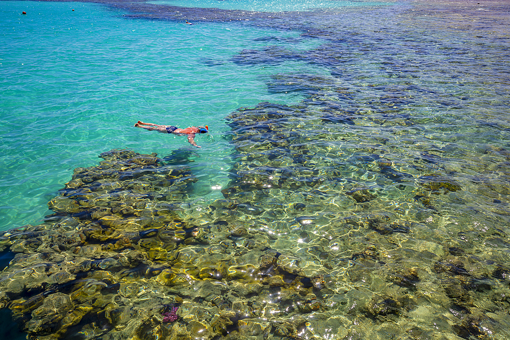 View of man snorkeling in the Red Sea near Sahl Hasheesh, Sahl Hasheesh, Hurghada, Red Sea Governorate, Egypt, North Africa, Africa