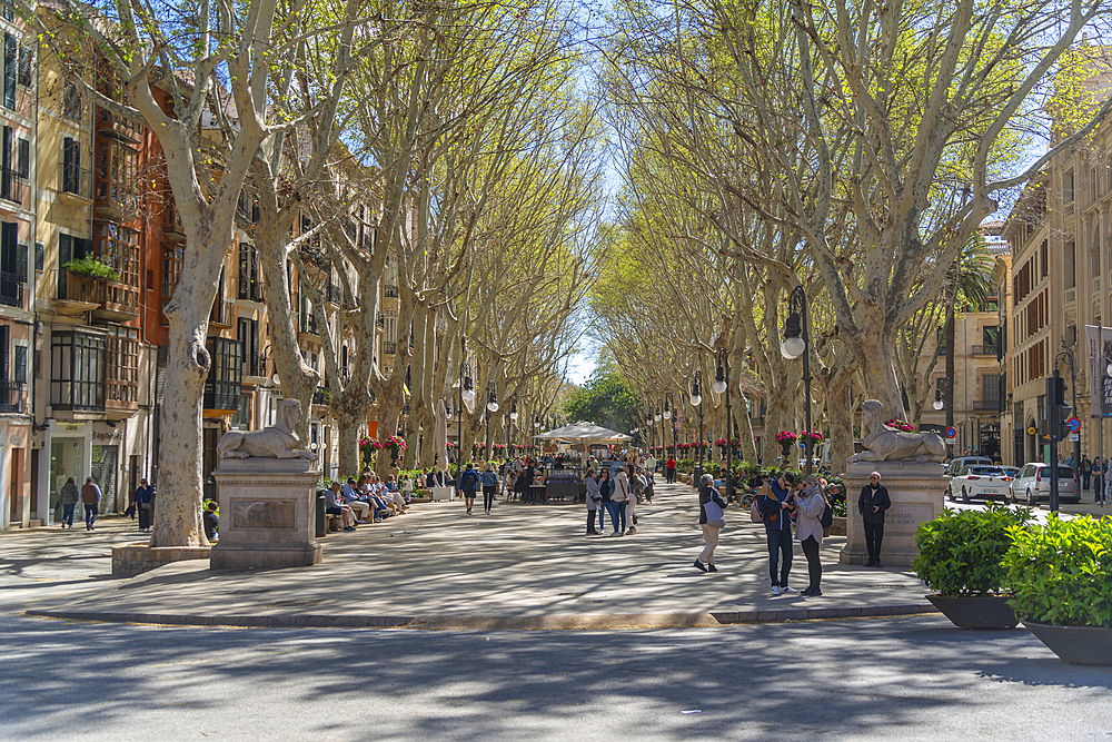 View of Sphinxes and cafes on Paseo del Borne, Palma de Mallorca, Majorca, Balearic Islands, Spain, Mediterranean, Europe