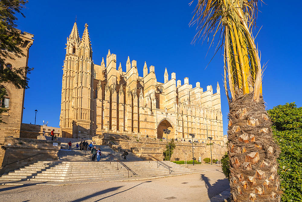 View of Cathedral-Basílica de Santa María de Mallorca, Palma de Mallorca, Majorca, Balearic Islands, Spain, Mediterranean, Europe