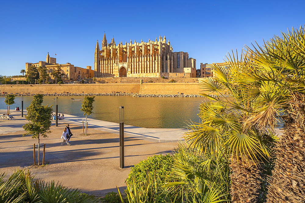 View of Cathedral-Basílica de Santa Maria de Mallorca from Passeig Marítime, Palma de Mallorca, Majorca, Balearic Islands, Spain, Mediterranean, Europe