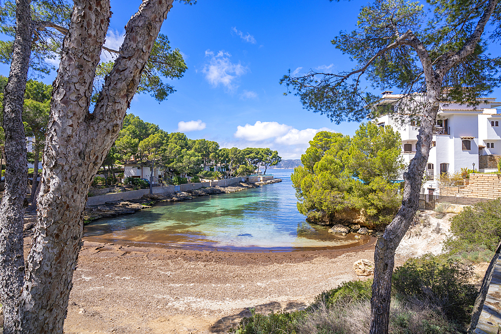 View of Es Calo d'en Pellicer beach in Santa Ponsa, Majorca, Balearic Islands, Spain, Mediterranean, Europe