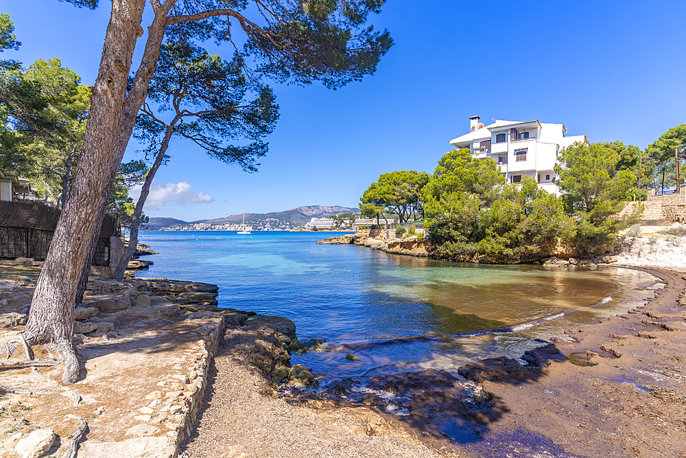 View of Es Calo d'en Pellicer beach in Santa Ponsa, Majorca, Balearic Islands, Spain, Mediterranean, Europe