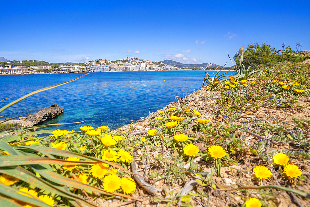 View of rocky shoreline by turquoise sea and Santa Ponsa, Majorca, Balearic Islands, Spain, Mediterranean, Europe