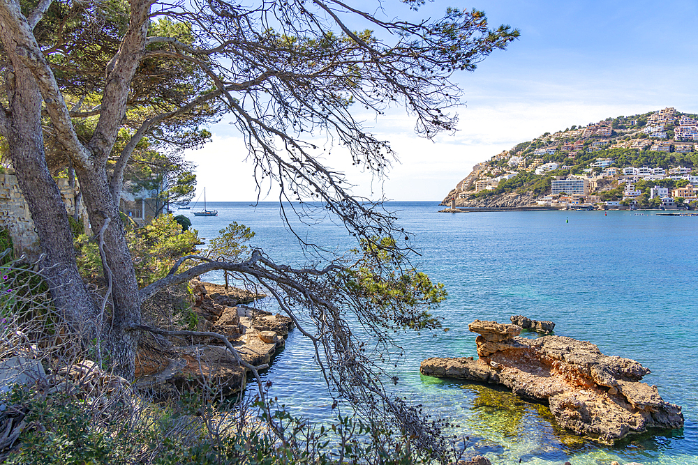 View of villas overlooking the sea at Port d'Andratx, Majorca, Balearic Islands, Spain, Mediterranean, Europe