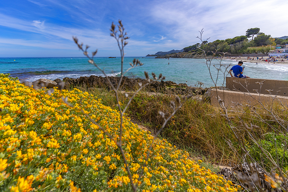 View of seaside resort of Cala Rajada, Majorca, Balearic Islands, Spain, Mediterranean, Europe