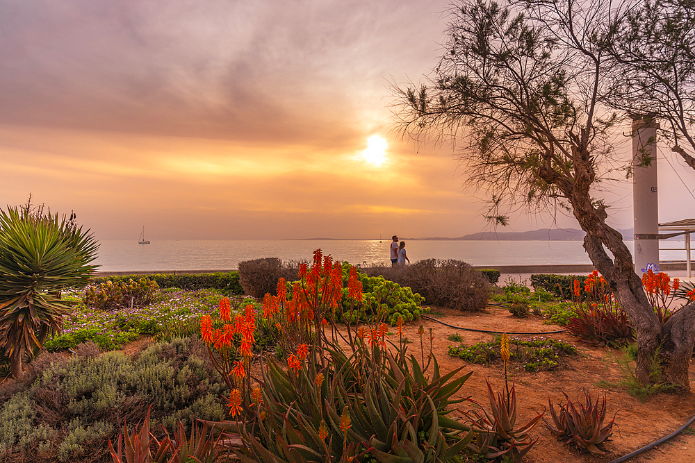 View of promenade at Playa de Palma at sunset, S'Arenal, Palma, Majorca, Balearic Islands, Spain, Mediterranean, Europe