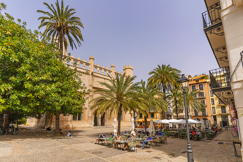 View of cafe and Llotja de Palma in Placa de la Llotja, Palma de Mallorca, Majorca, Balearic Islands, Spain, Mediterranean, Europe