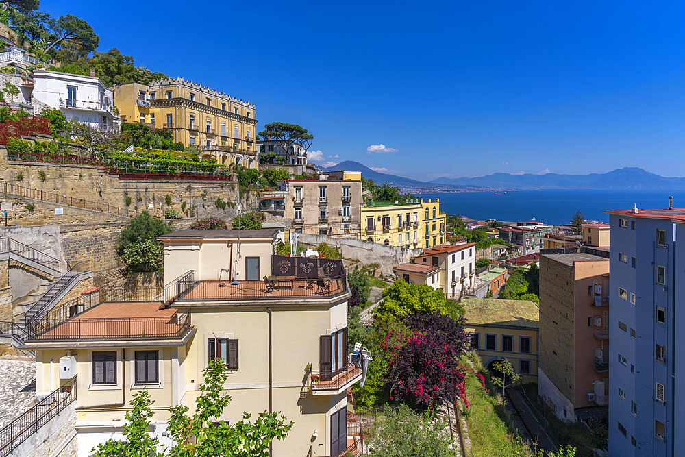 Elevated view of Naples and Mount Vesuvius in the background, Naples, Campania, Italy, Europe