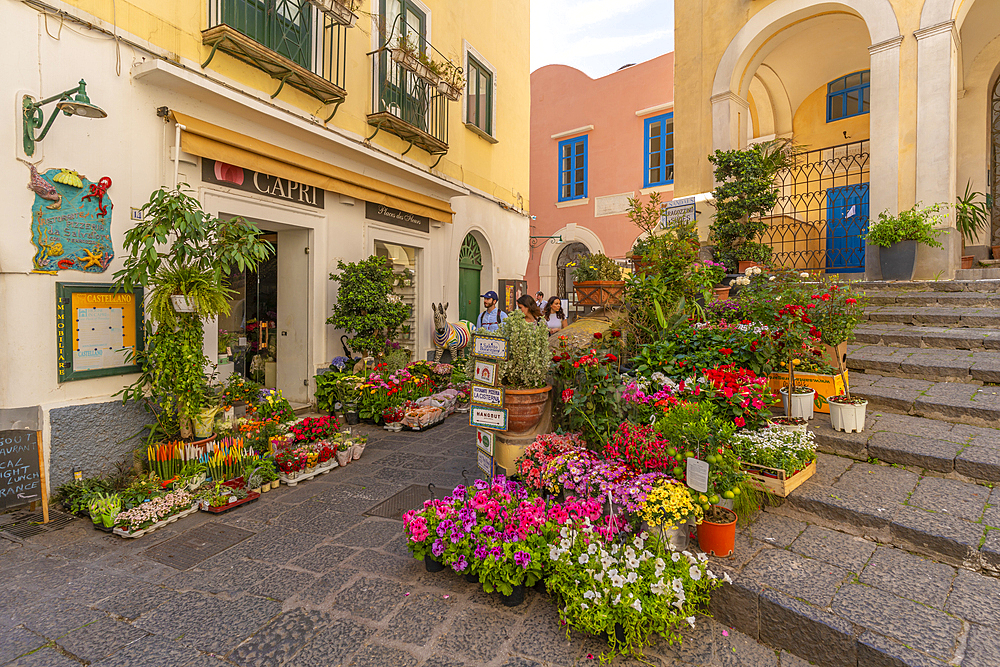 View of flower display outside florists in street, Capri Town, Isle of Capri, Campania, Italy, Mediterranean, Europe