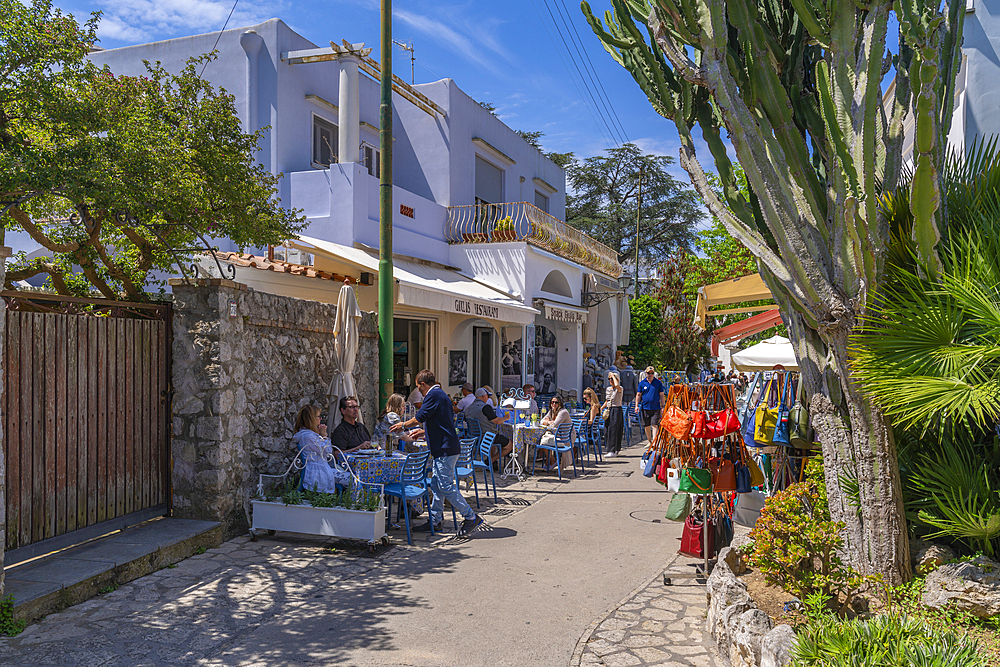 View of shop, restaurant and cafe Via Giuseppe Orlandi, Anacapri, Isle of Capri, Campania, Italy, Mediterranean, Europe