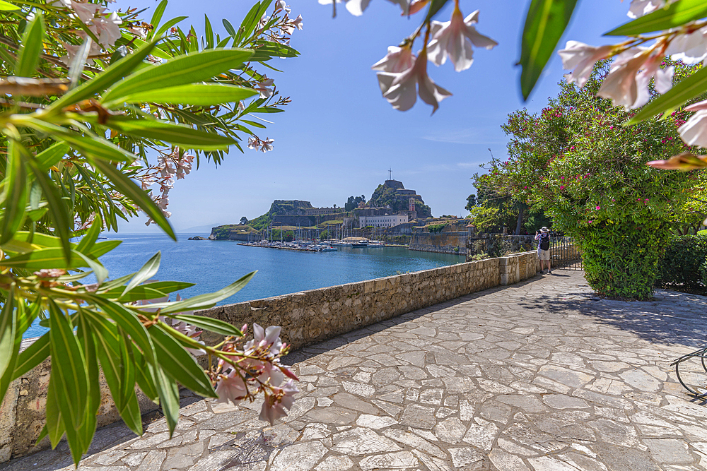 View of Old Fortress of Corfu in Corfu Town, UNESCO World Heritage Site, Corfu, Ionian Sea, Greek Islands, Greece, Europe